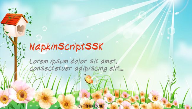 NapkinScriptSSK example